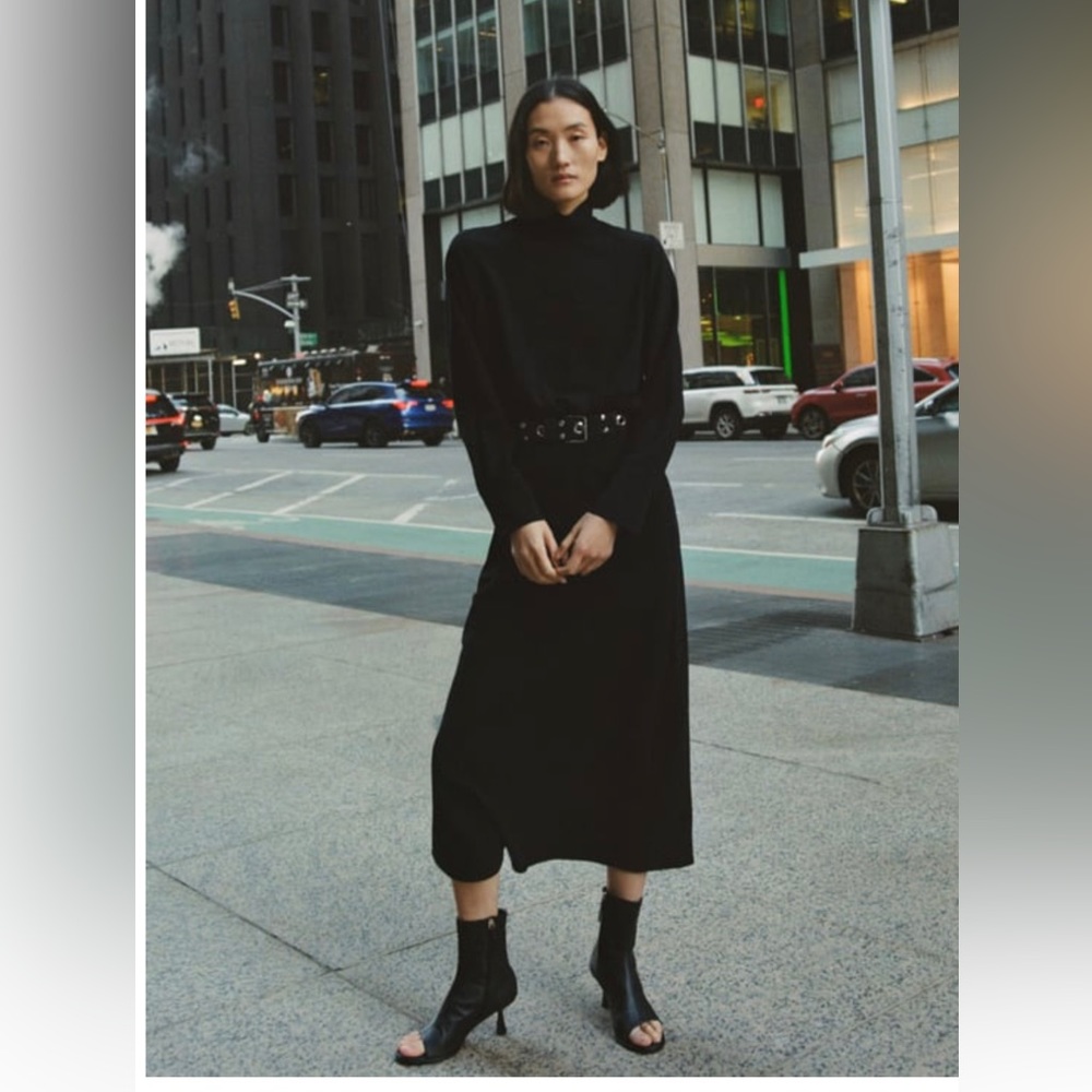 NWT Zara high collar midi dress, sz S